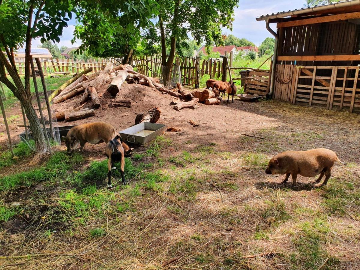 Appartamento Bensdorfer Muehle - Auszeit In Brandenburg Esterno foto